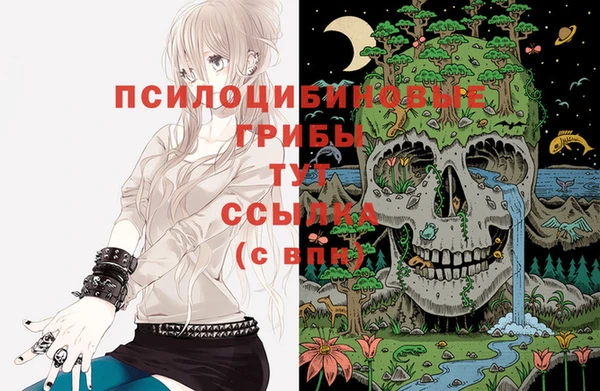 дживик Касимов