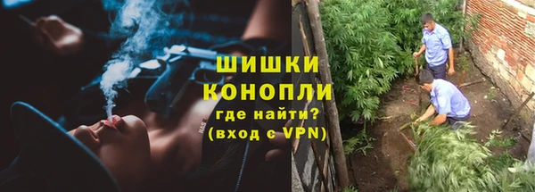 дживик Касимов