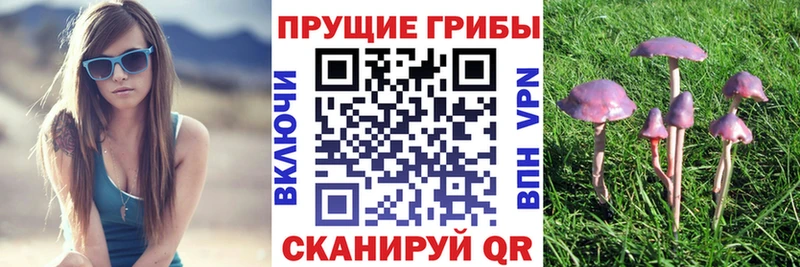 Купить  Георгиевск  Псилоцибиновые грибы GOLDEN TEACHER 